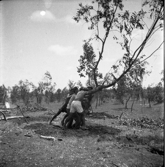חברי שער הנגב בעבודת שדה - שיפטן גדעון