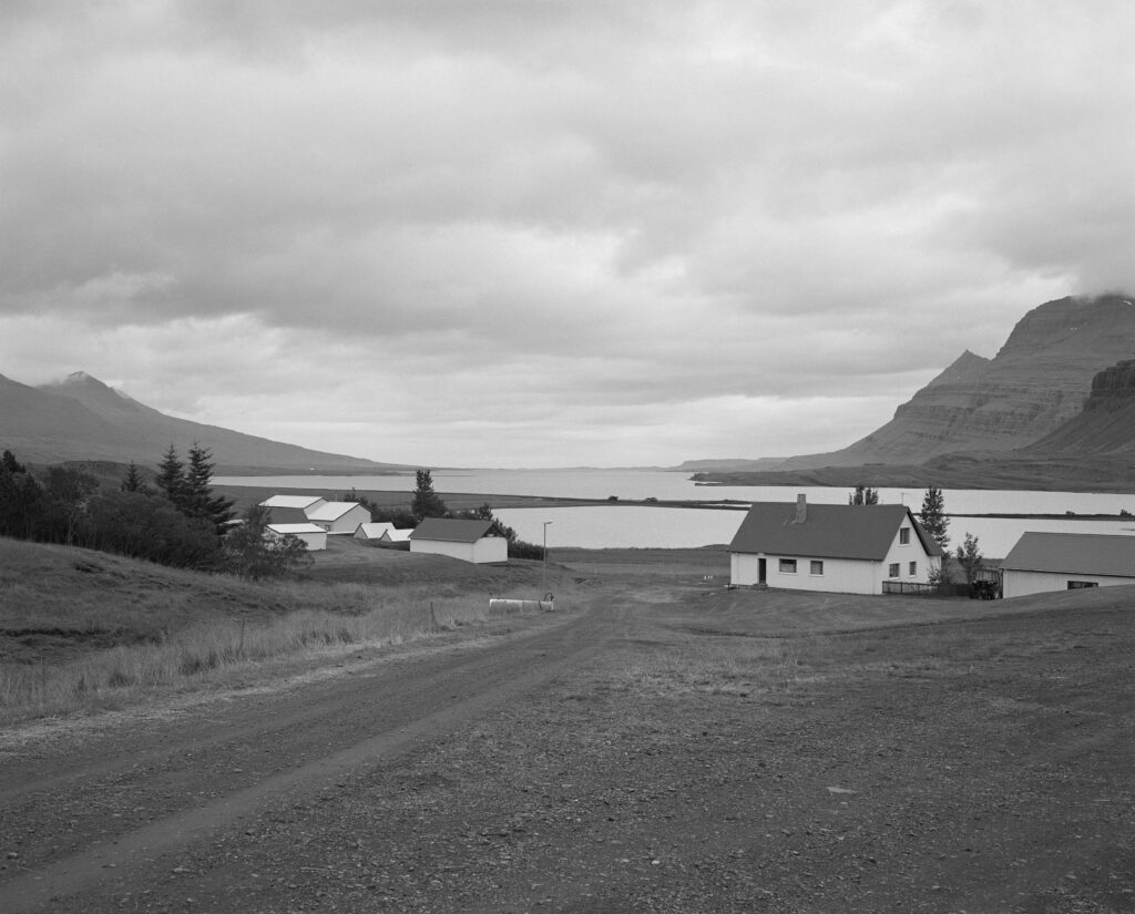 ללא כותרת - קאפ תומר