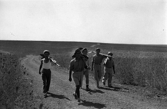 קיבוץ קדמה (התפרק) - גלס ערי