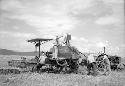מכבש חבילות החציר - כהן אליהו