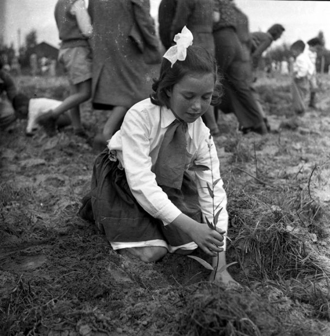 ילדה שותלת - יעקבי אריה