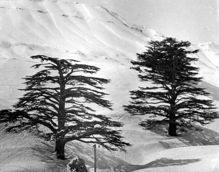 טיול לחרמון - שיפטן גדעון