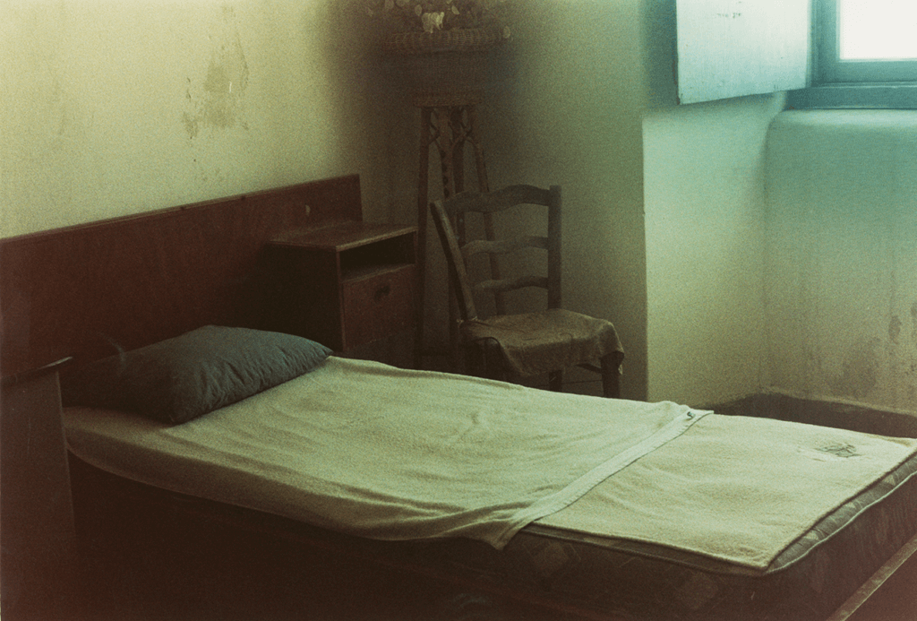 ללא כותרת - אגסי רותי