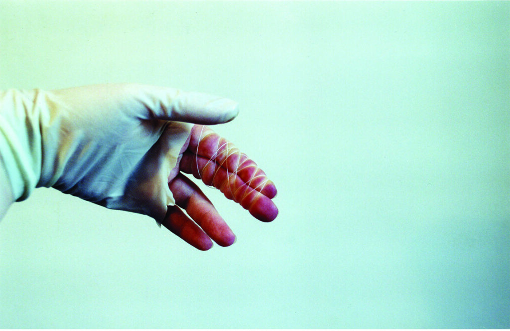 ללא כותרת - איכילוב דפנה