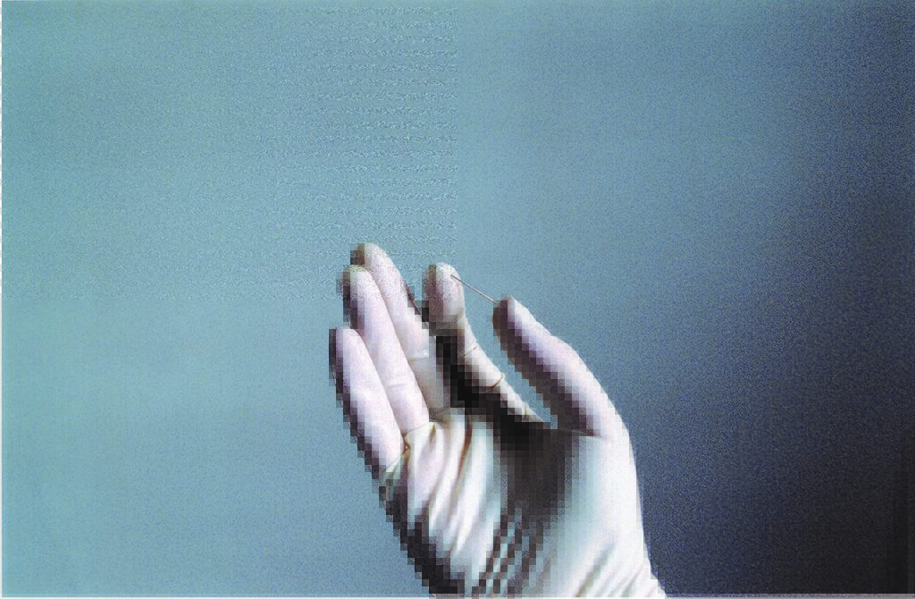 ללא כותרת - איכילוב דפנה