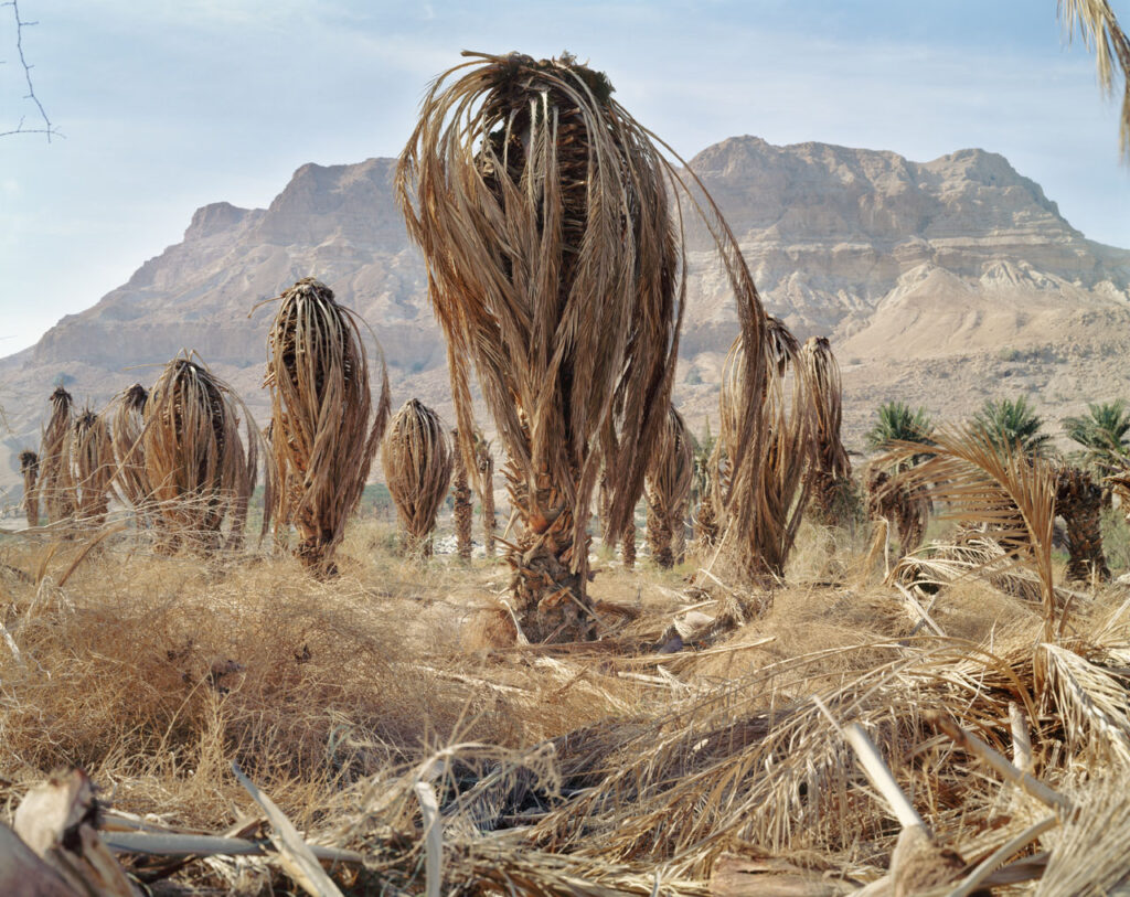 בולענים, עין גדי - ישראל יעקב