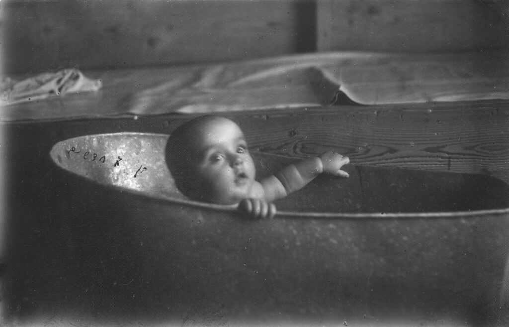 זיר לוז - דוד ציפורה