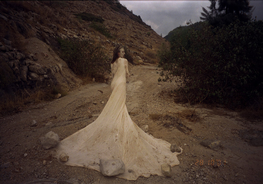 בחזרה לנחל - זכאי שי