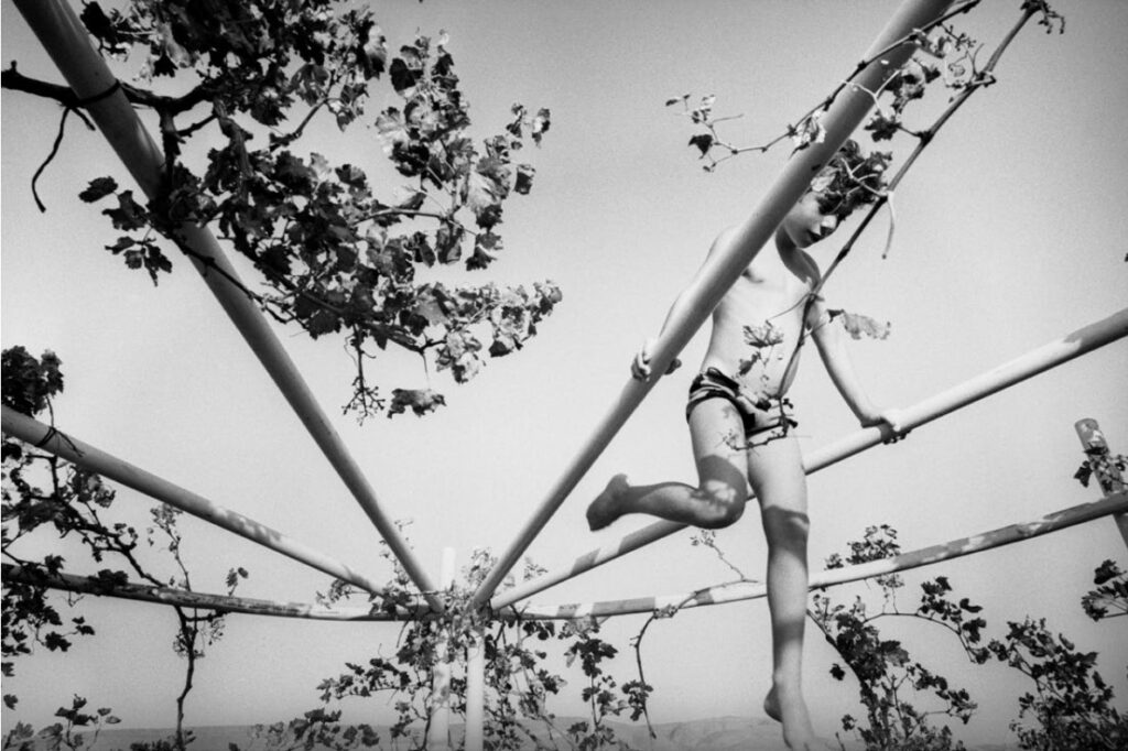 קיבוץ תל קציר - בר-עם מיכה