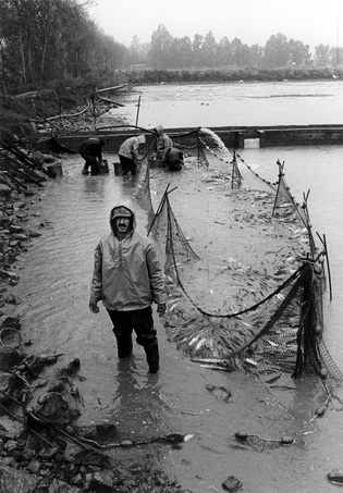 דייגים בשער הגולן - זמיר יהושע