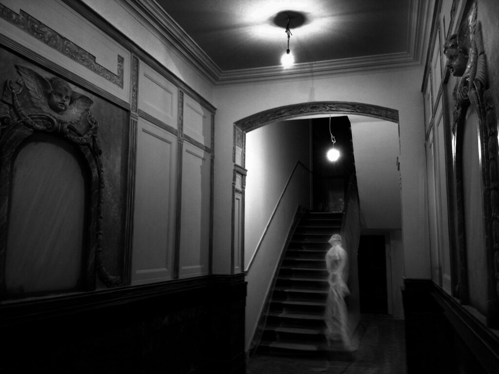 היפנגוגיה - גורביץ מיה