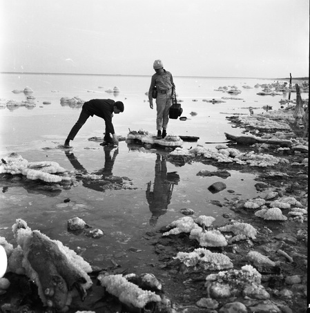 ים המלח - נבו עמרם
