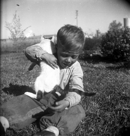 ילד וחתול - זמיר יהושע