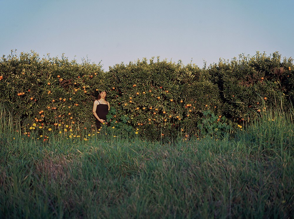 הדס - שליט-אבני תמר