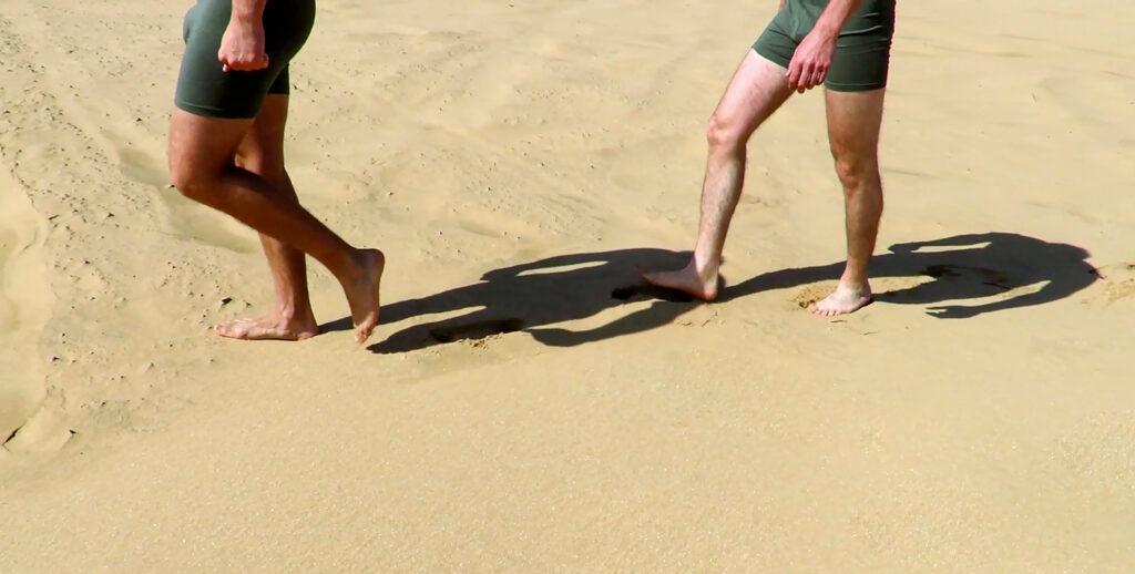 פֶּרְפֵּטוּם מוֹבִּילֵּה - שליט-אבני תמר