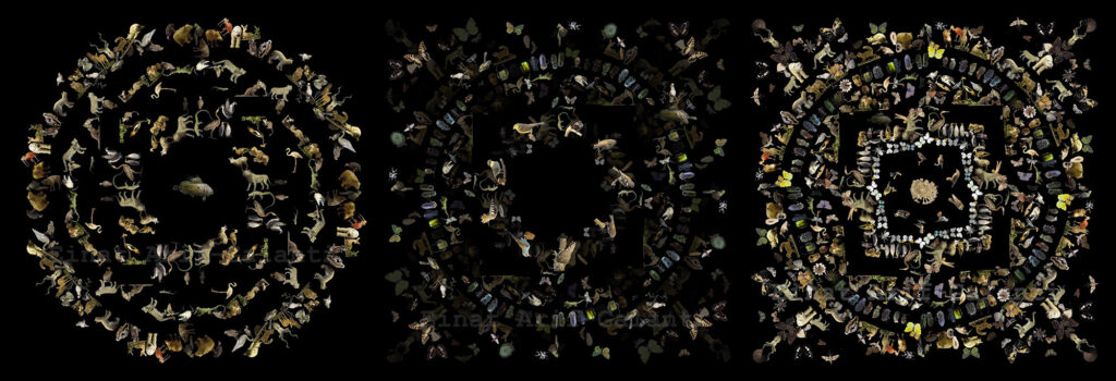 ללא כותרת - עריף-גלנטי עינת