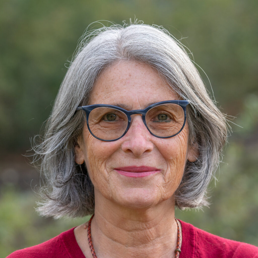 צולם על ידי אביב רם, 2022.