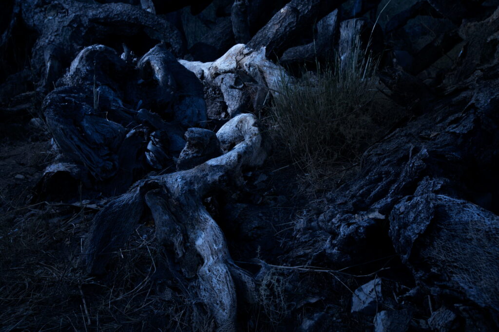 ללא כותרת - רפאלי אלדד