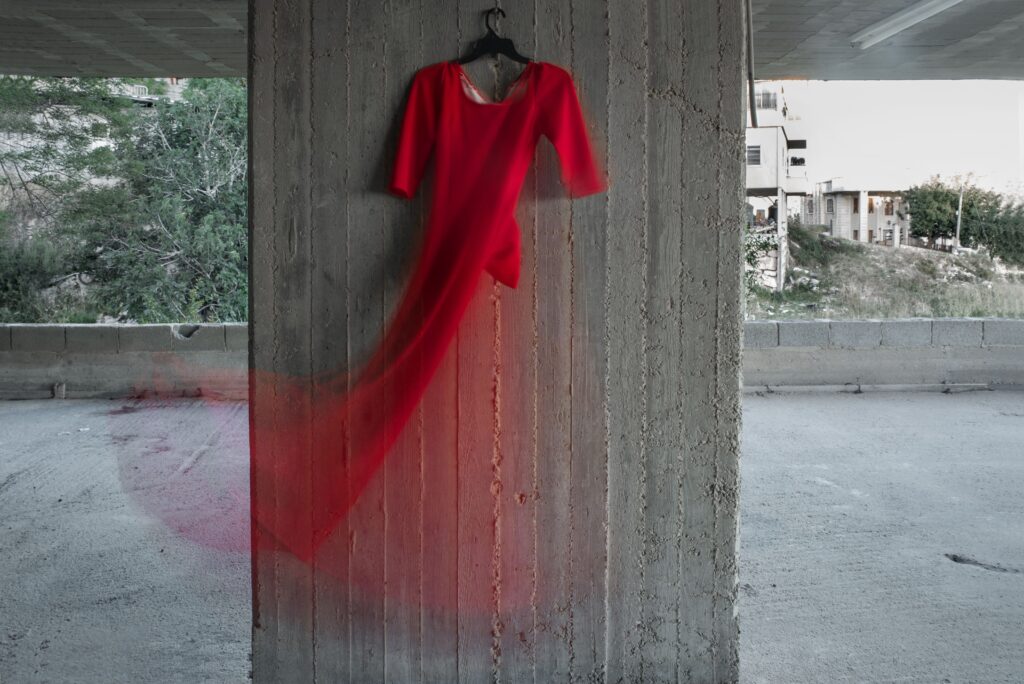 Red Dress - זיאן אמירה