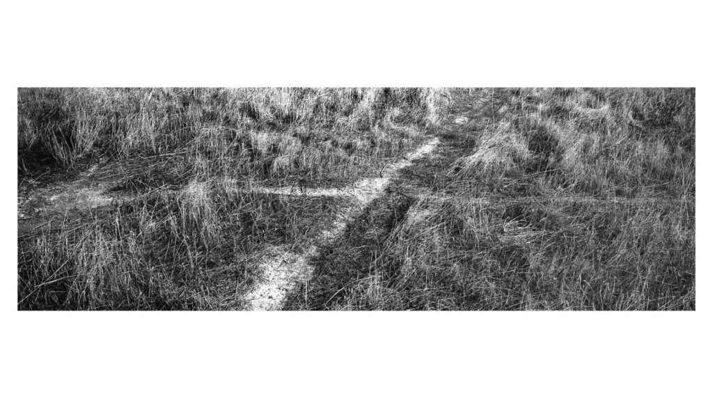 שטח אש - טבול יובל