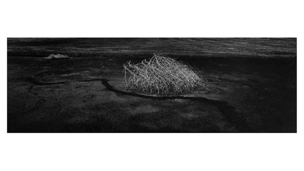 קיבוץ נאות סמדר - טבול יובל