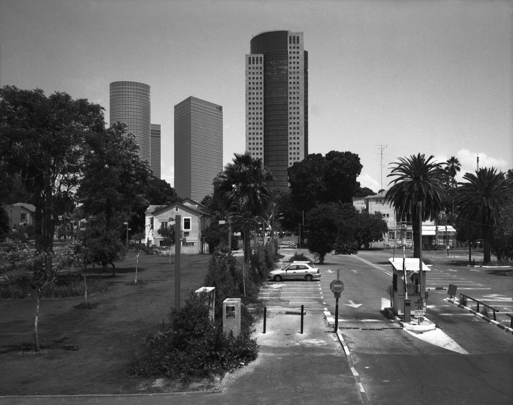 שרונה - וייסה יניב