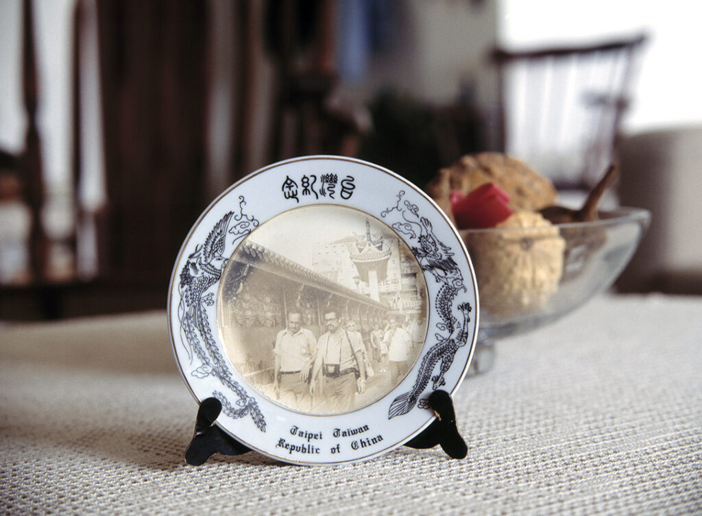 צלחת - וייסה יניב