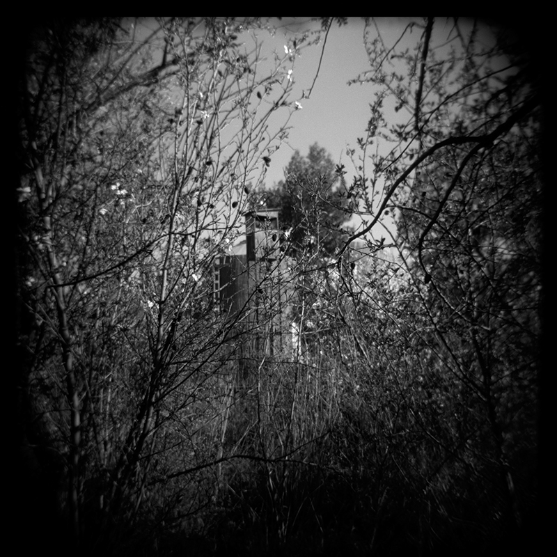 מגדל, ירושלים - וייסה יניב