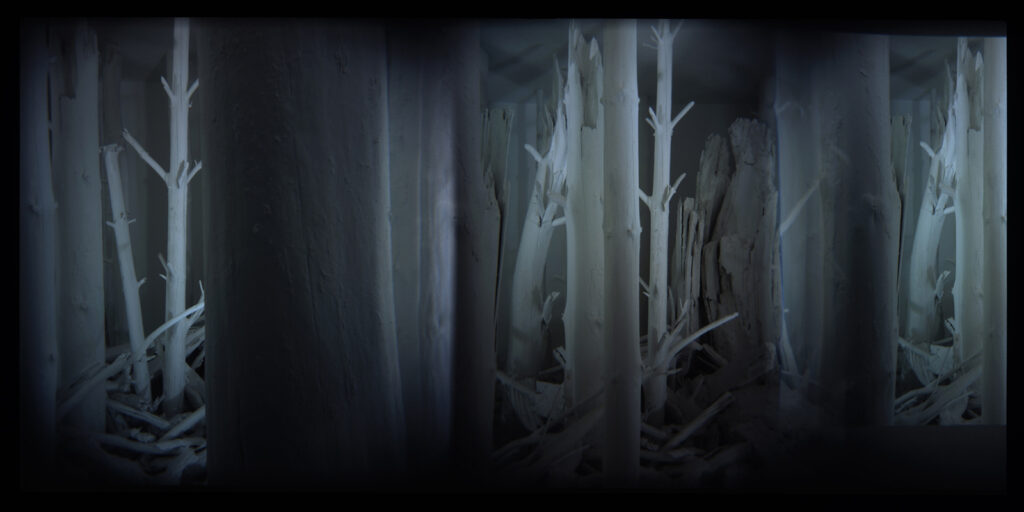 ללא כותרת - וייסה יניב