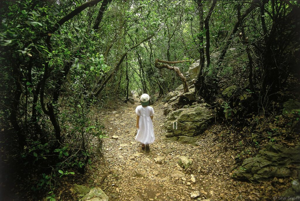 נועה בשויצריה הקטנה - גינות שי