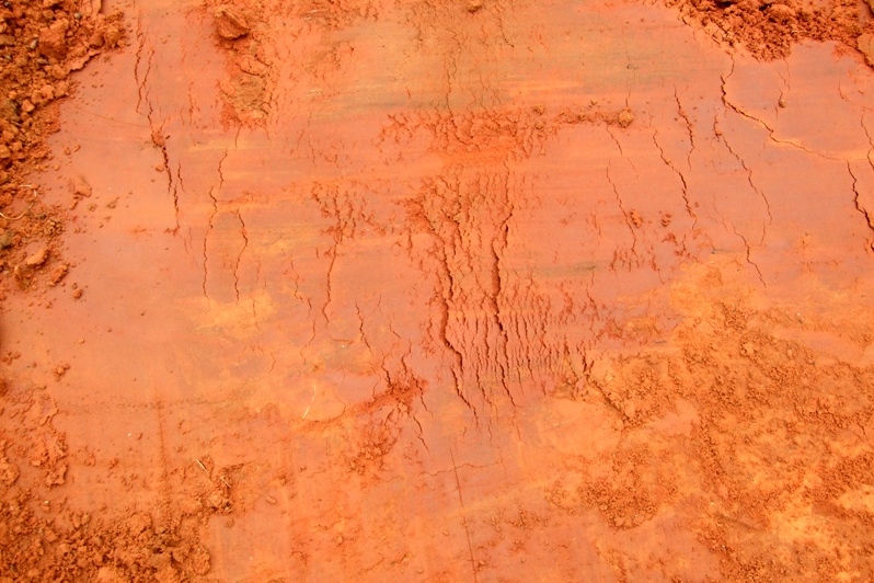 אדמה #2 - בר-אור אסנת