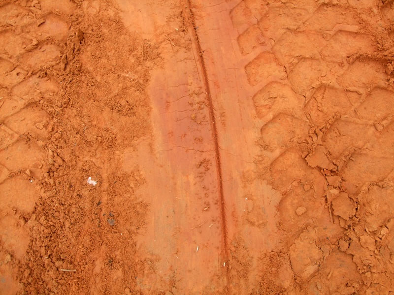 אדמה #3 - בר-אור אסנת