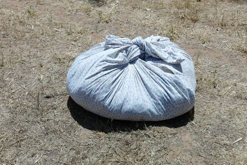 בוקצ'ה - בר-אור אסנת