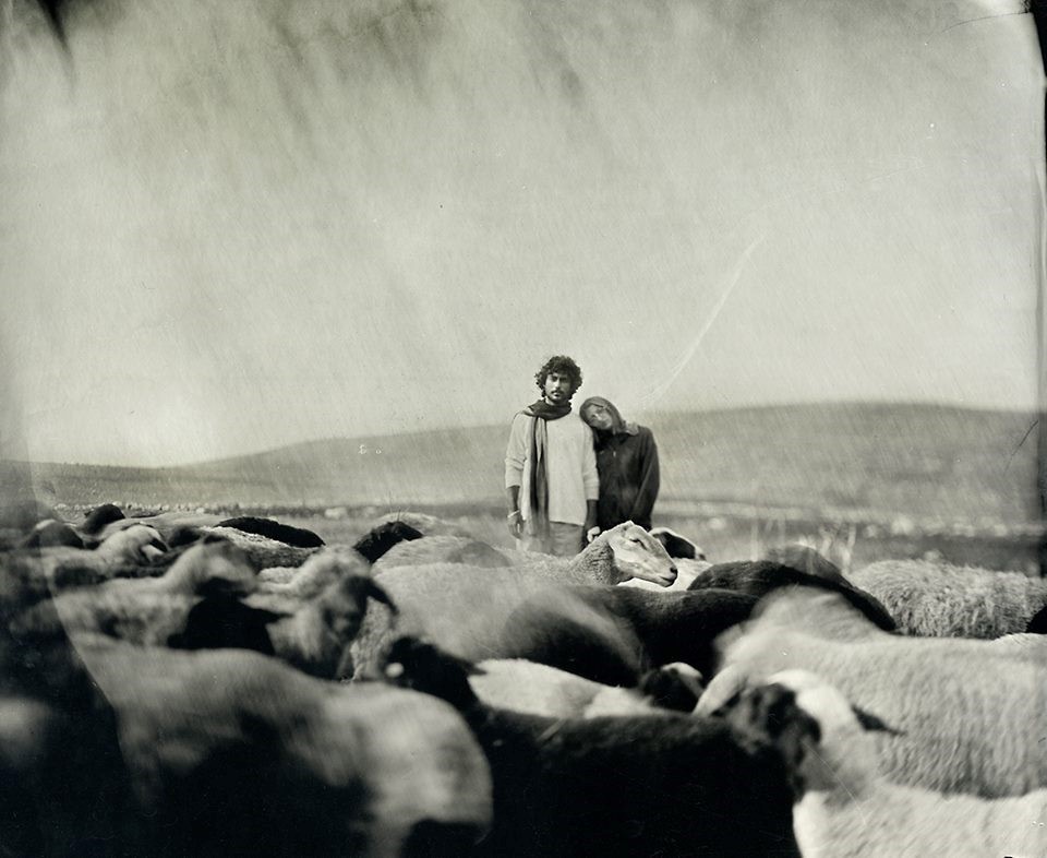 Sheperds - באירמוב רוסטם