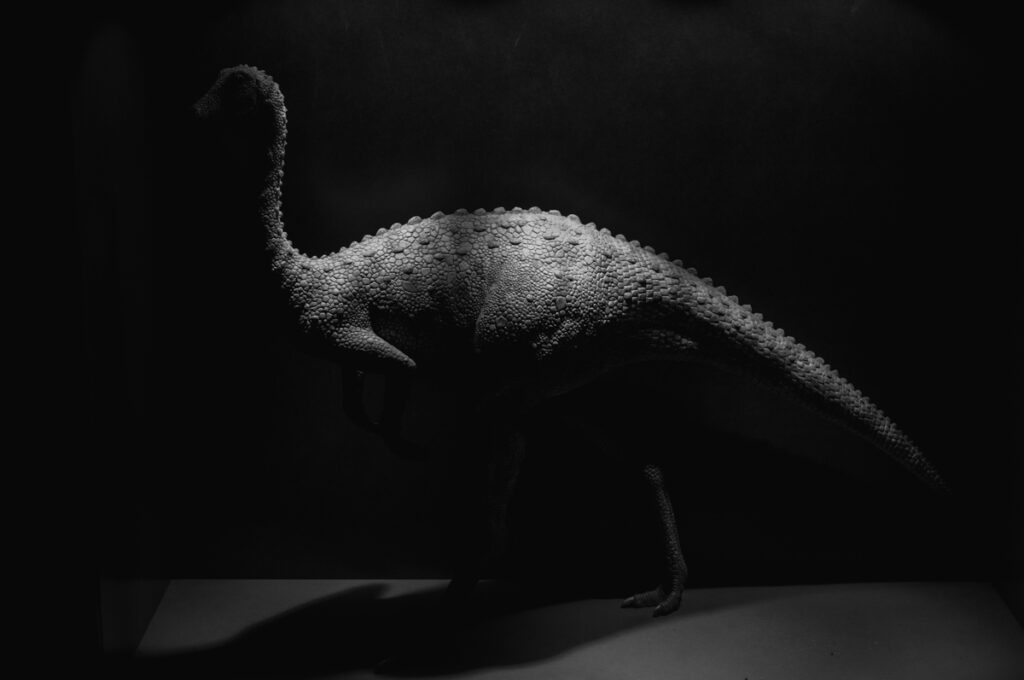 אורניתומימוס - וידל יורם