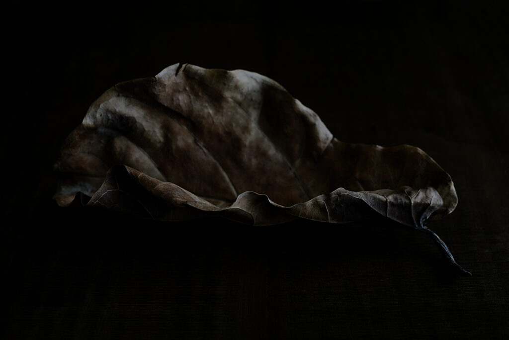 טבע דומם - וידל יורם