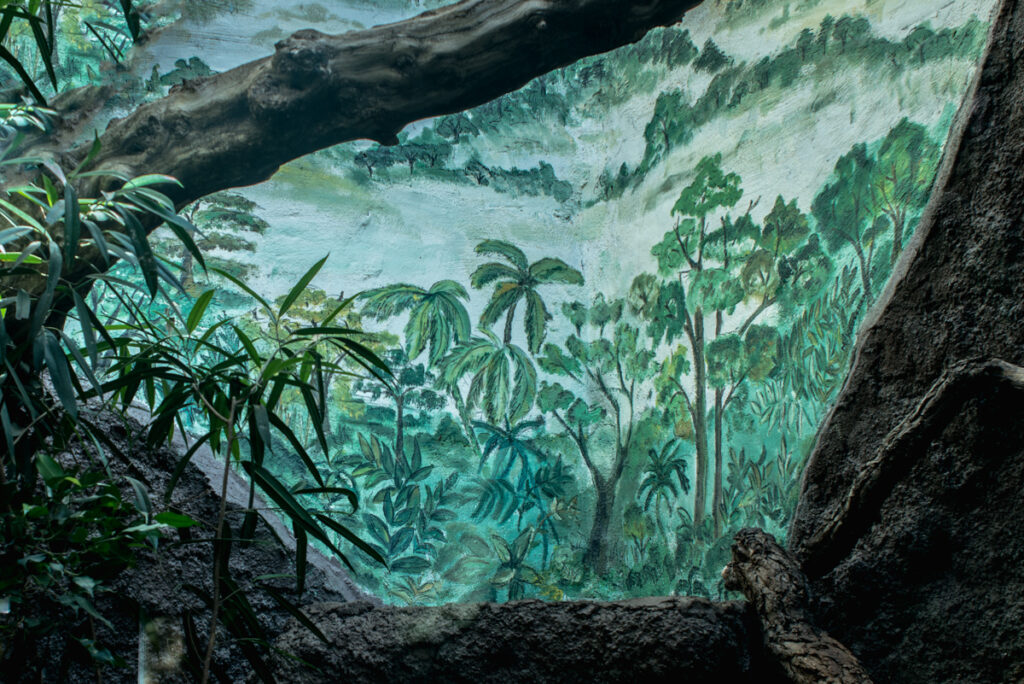 נוף בתולי - וידל יורם