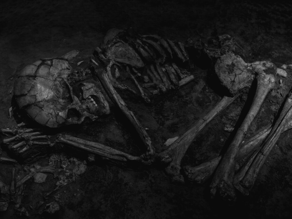 שלד אדם - וידל יורם