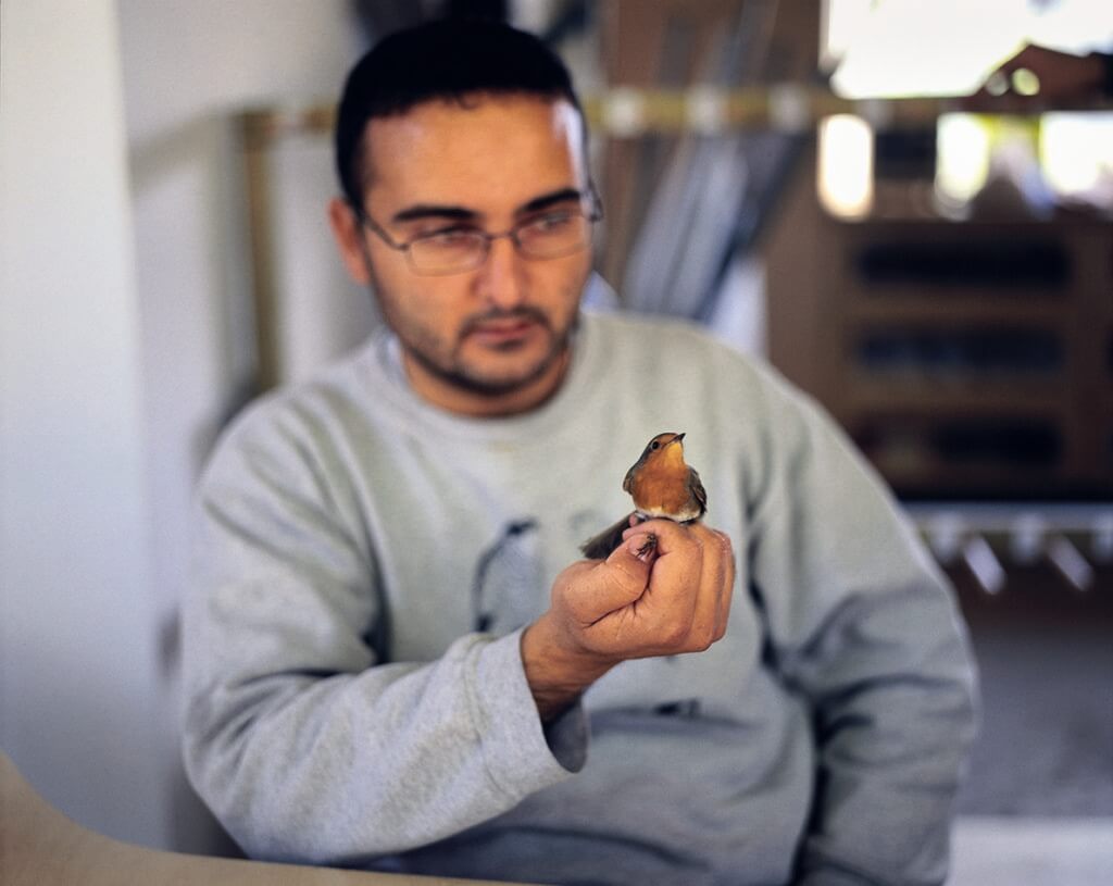 התחנה לחקר ציפורי ירושלים - בן שלום נועה