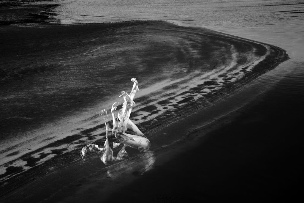 תנועת הטבע - שפיץ דרורה