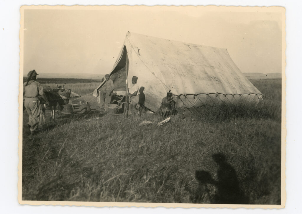 נוטרים ליד אהל בשדה, הצל של אולשטיין מימין - אולשטיין (אליצור) ישראל