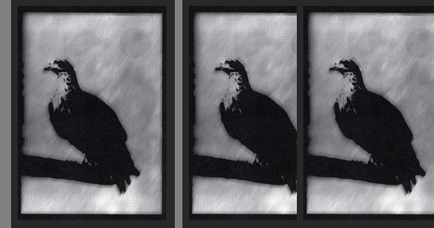 בזים - גואטה יהודית