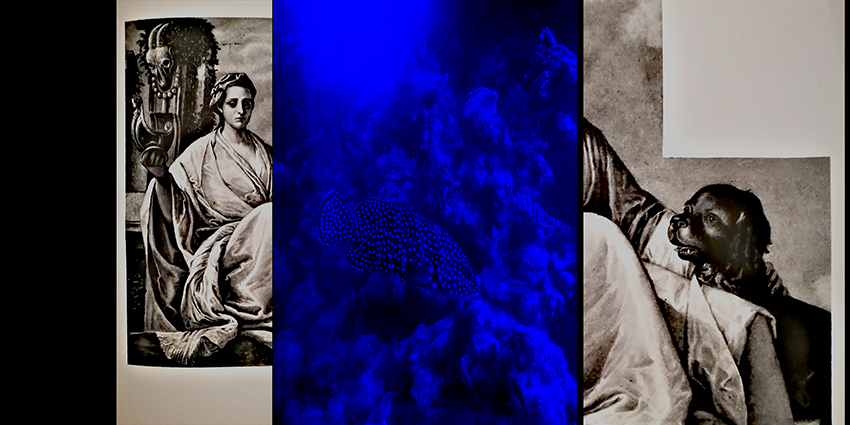 ללא כותרת - גואטה יהודית