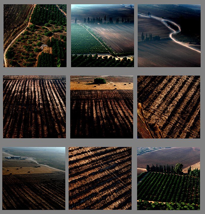 ללא כותרת - גואטה יהודית