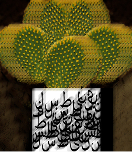 ללא כותרת - גואטה יהודית