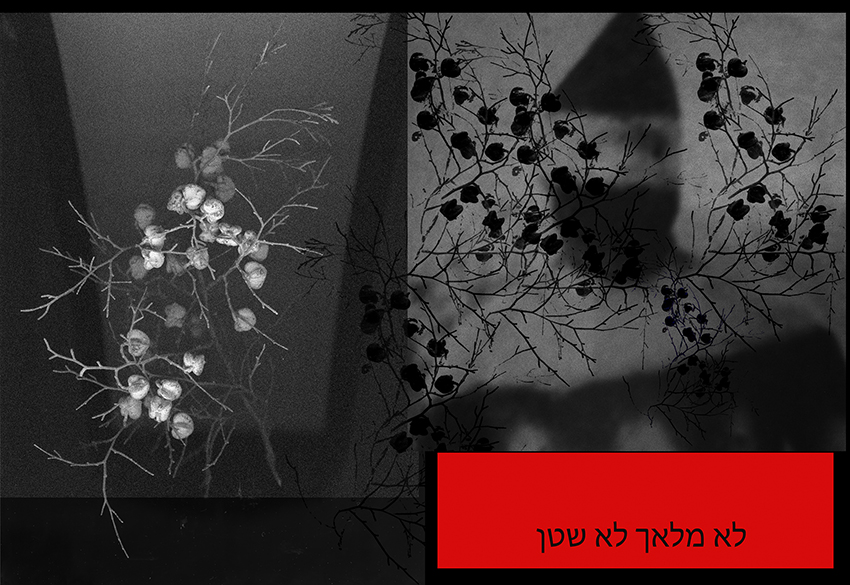 ללא כותרת - גואטה יהודית