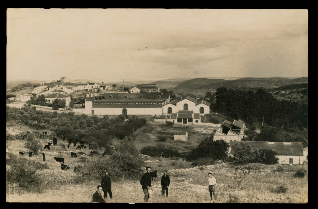 היקב בזיכרון יעקב, אולשטיין עומד שני משמאל