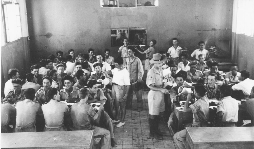 ללא כותרת - שפירא אנטול