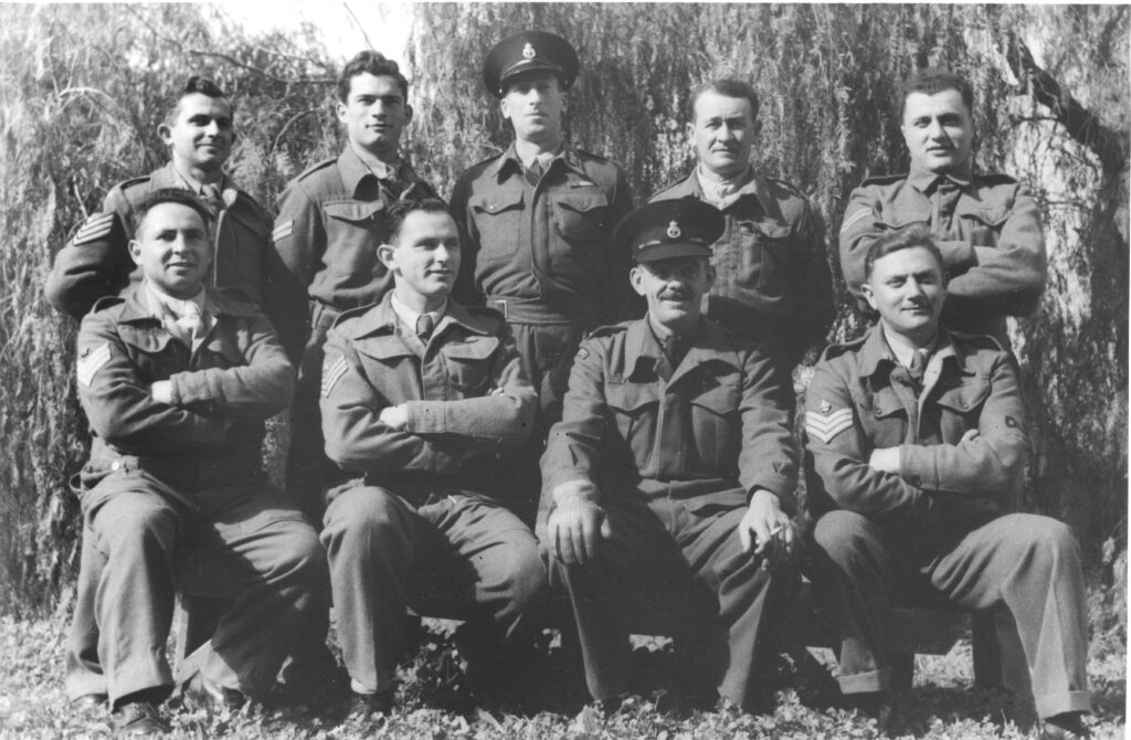 ללא כותרת - שפירא אנטול