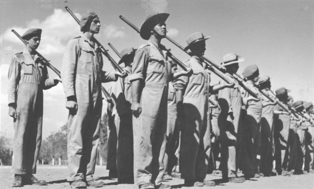 ללא כותרת - שפירא אנטול